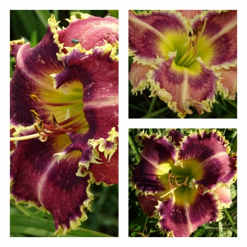 �������� ϳ�������� ³���