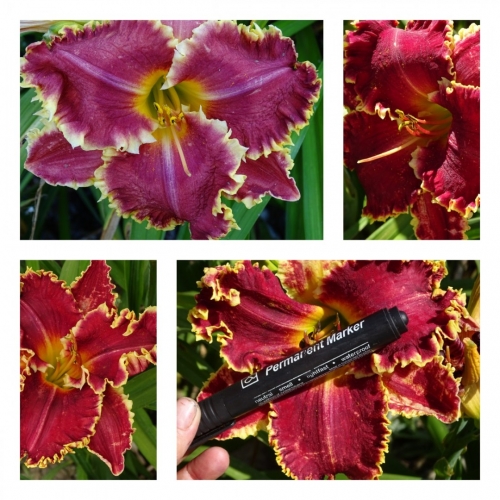 ������� ������ 