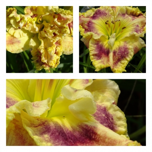 ��������� ������