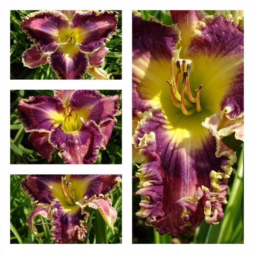 ����'� �������