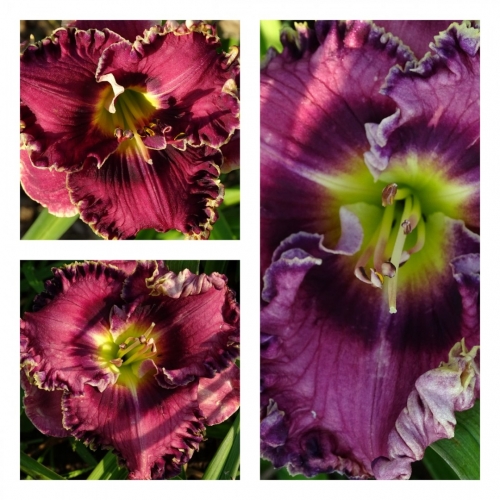 ͳ� ��������