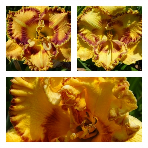 ��������� ������