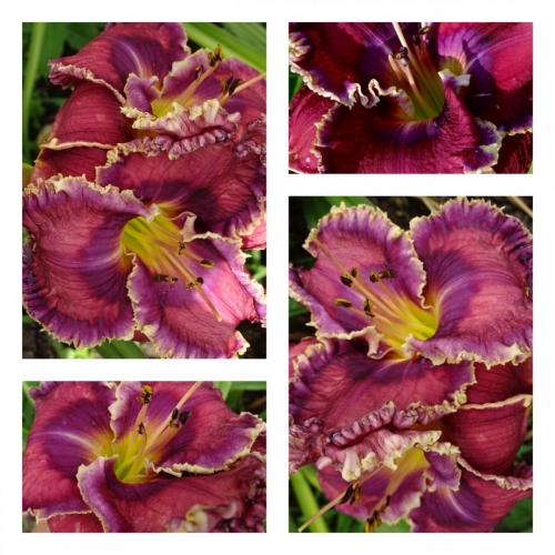 ������� ������