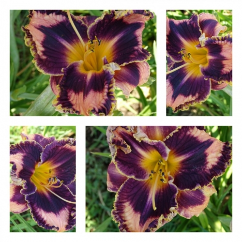 �������