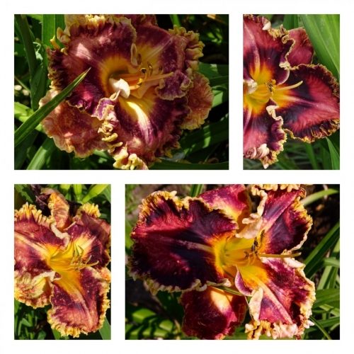 ���������� ������