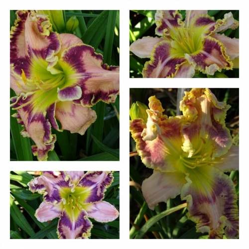 ��������� ó���