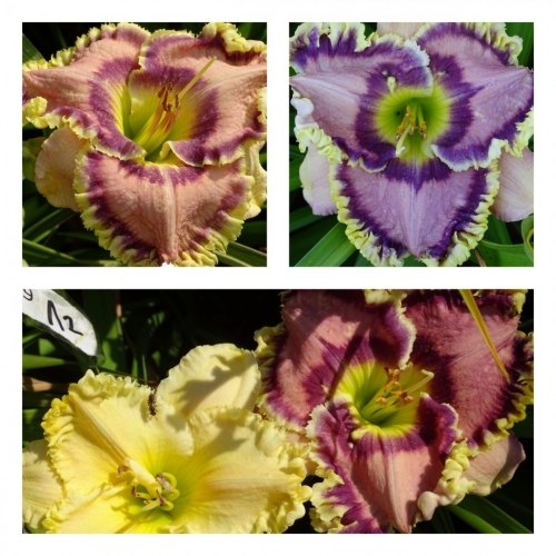 ĳ���� �������