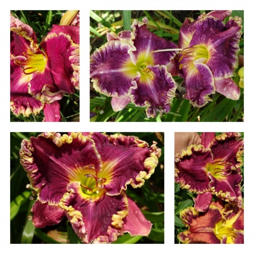 �����-�����, ����-���