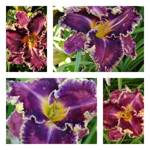 �������