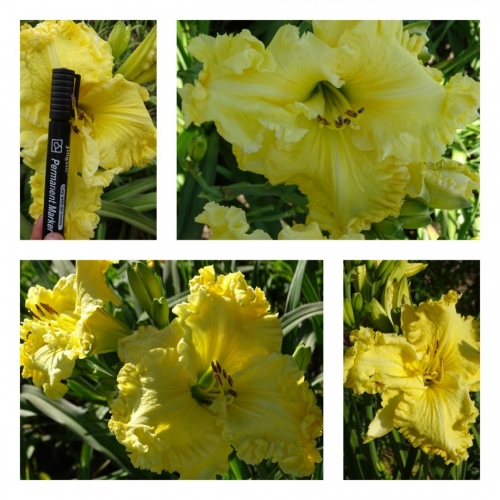 �������� � ��� �����