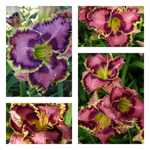 �������� ������� ������ �������