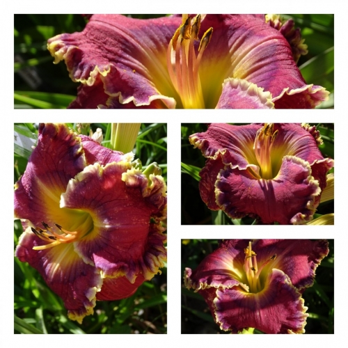 ���� � ����