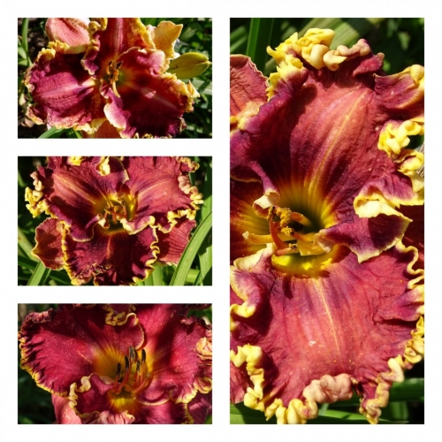 �������� ���������