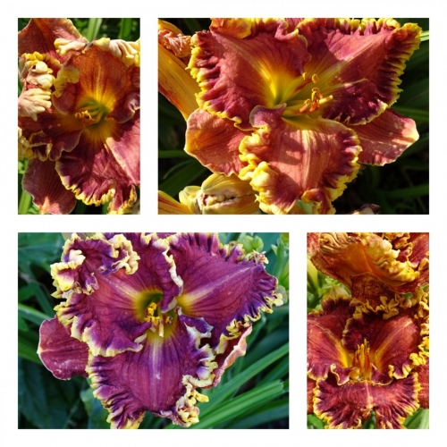 ��������� ������