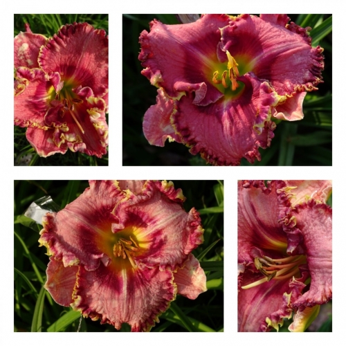 ����� � �����