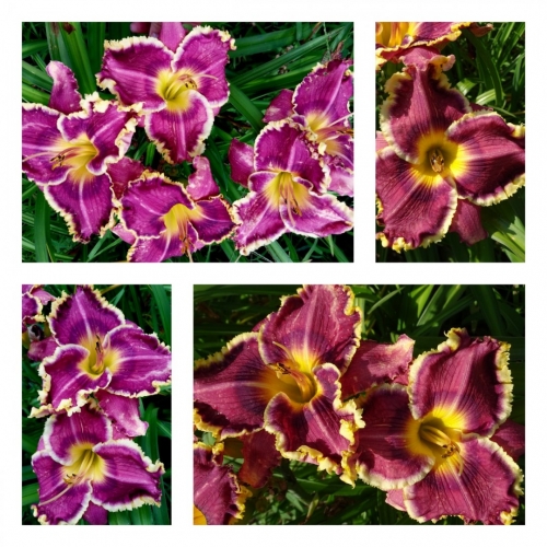 ˳����� ��������� ������ �������