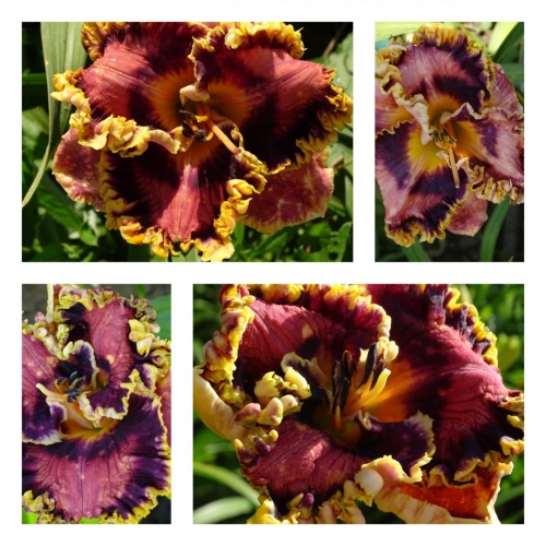 �������