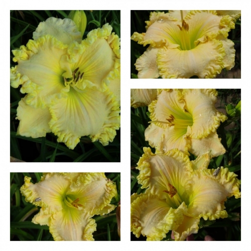 �� ������ � �����