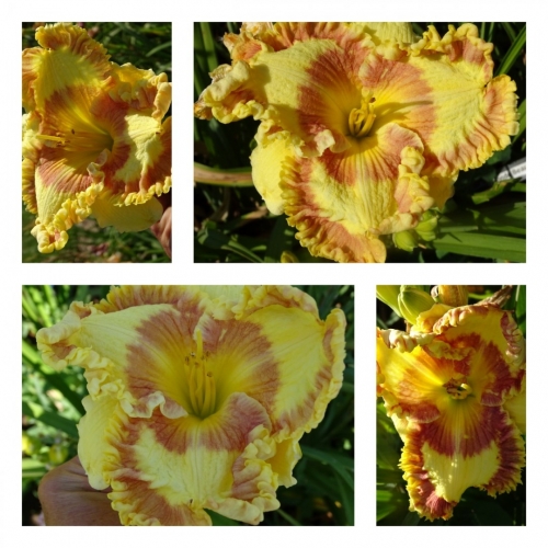 ��������� �������