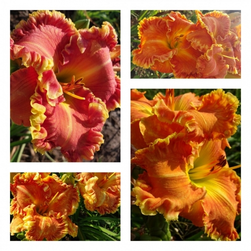 �����'������