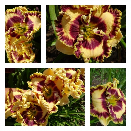 ����������