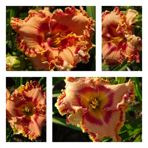 ���������� ������