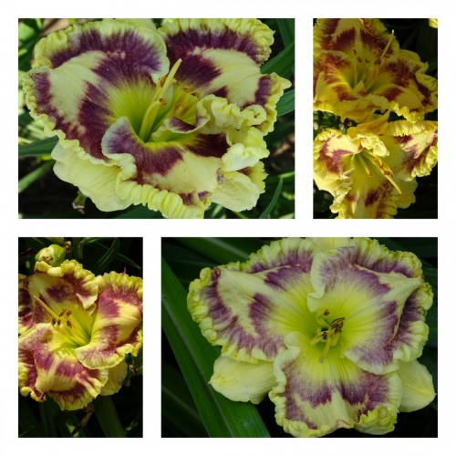 �������������� ������