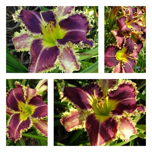 John Kulpa ������ �������