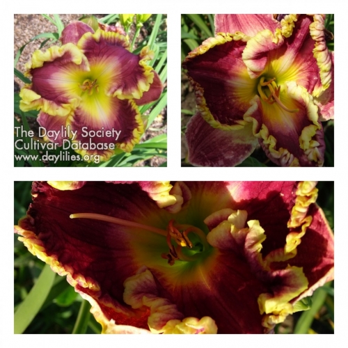 Linda Bell ������ �������