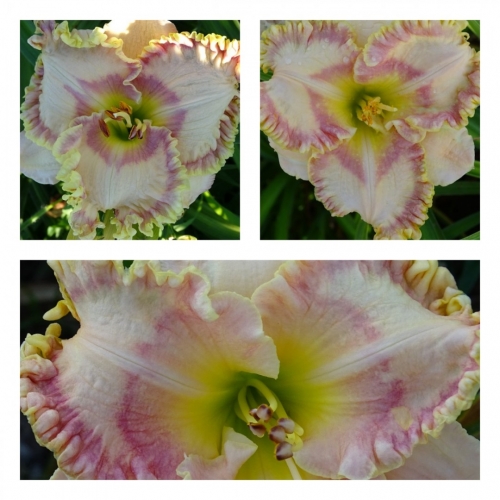 �������� ���� ������ �������