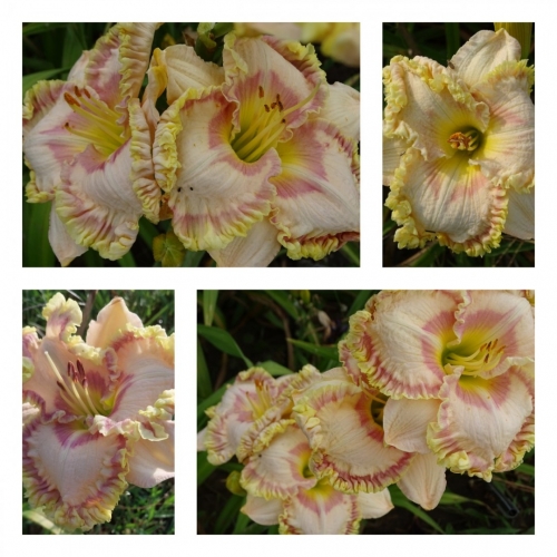 ����� ǳ���� � ����� ������ �������