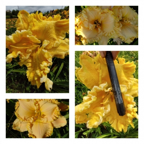 ³��� ���