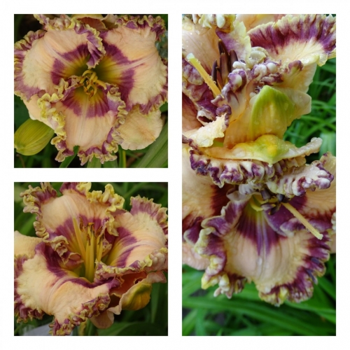 �� ������� ������