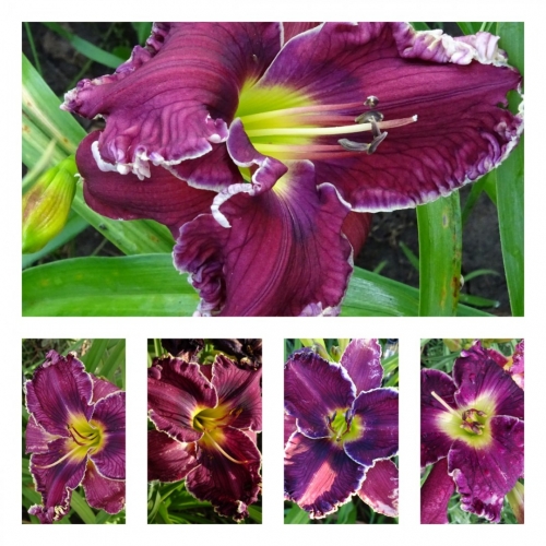 ������������ ���