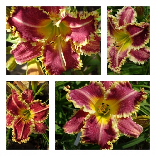 ���� � �����