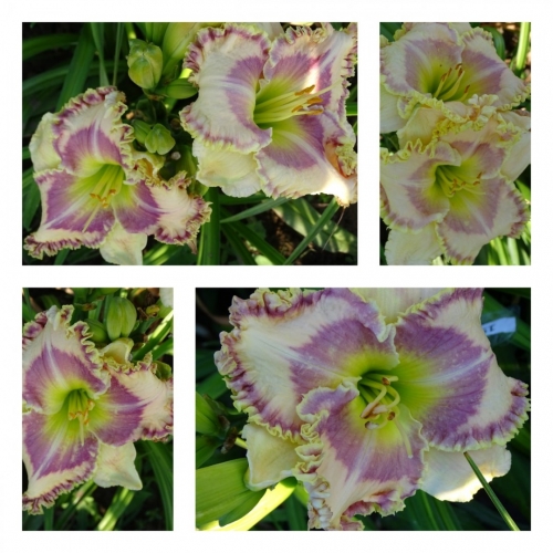 ˳������ �����