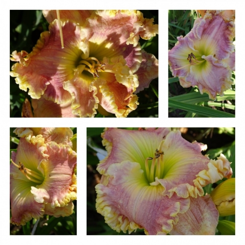 �������