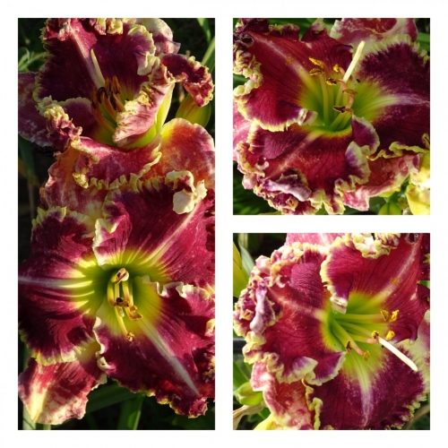 ������� �����