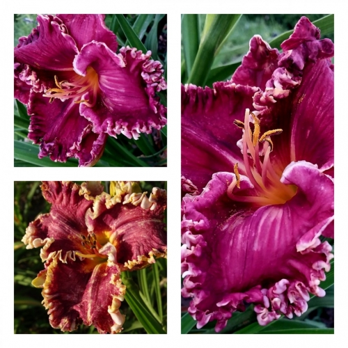 ���������