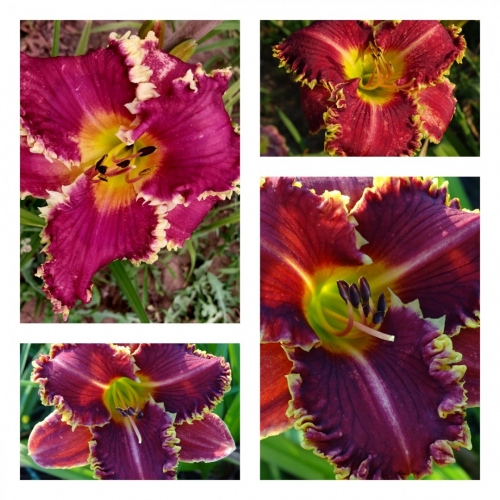 ����������