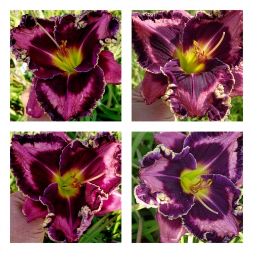 ������������ � ǳ���