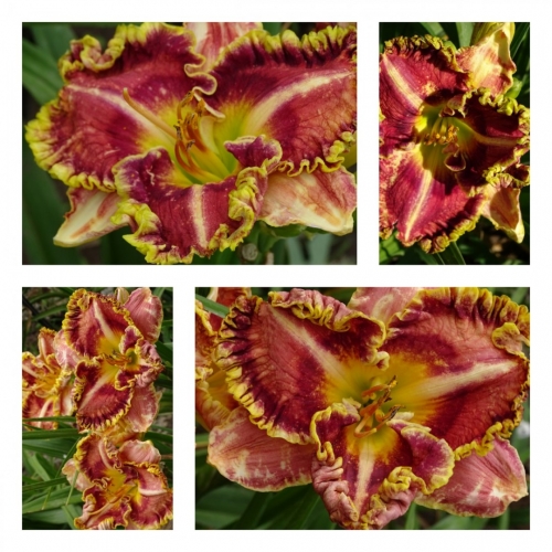 ����� ǳ���