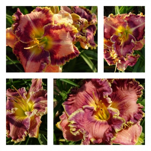 ϳ������ �����