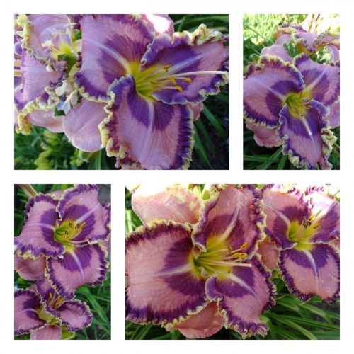 ������� � �������