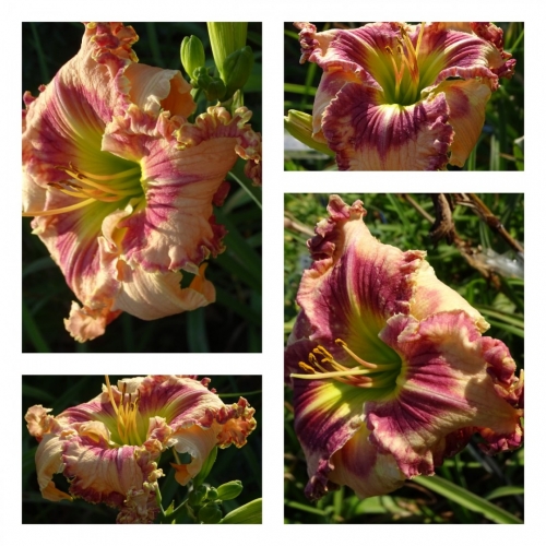 �������