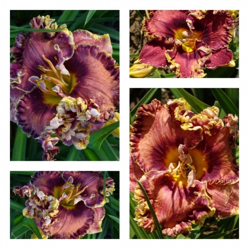 �������