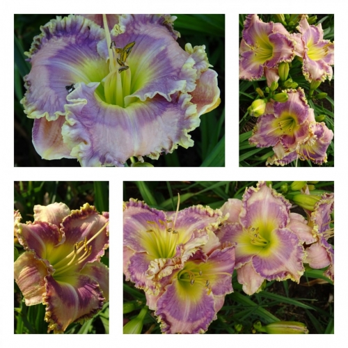 �������� ������