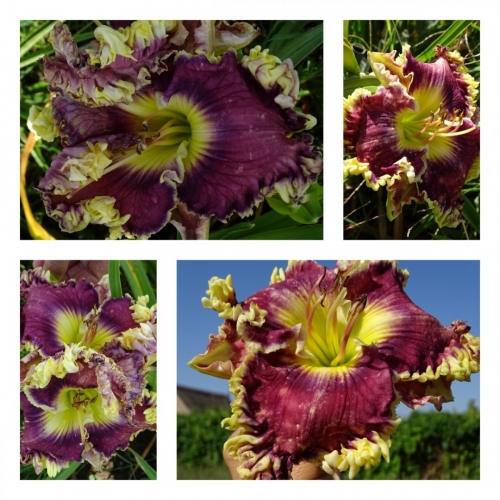 ���������� ����� ����� �����