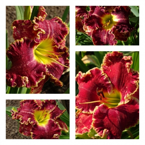 ������� �����